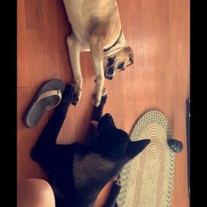 Meet your Posher, Cheryl